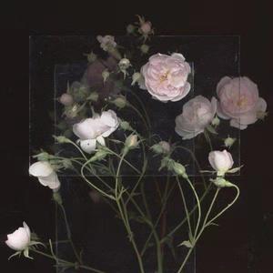 河北老太做爰HD
