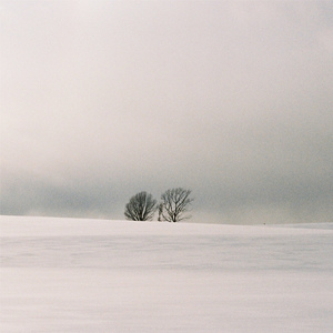 河北老太做爰HD
